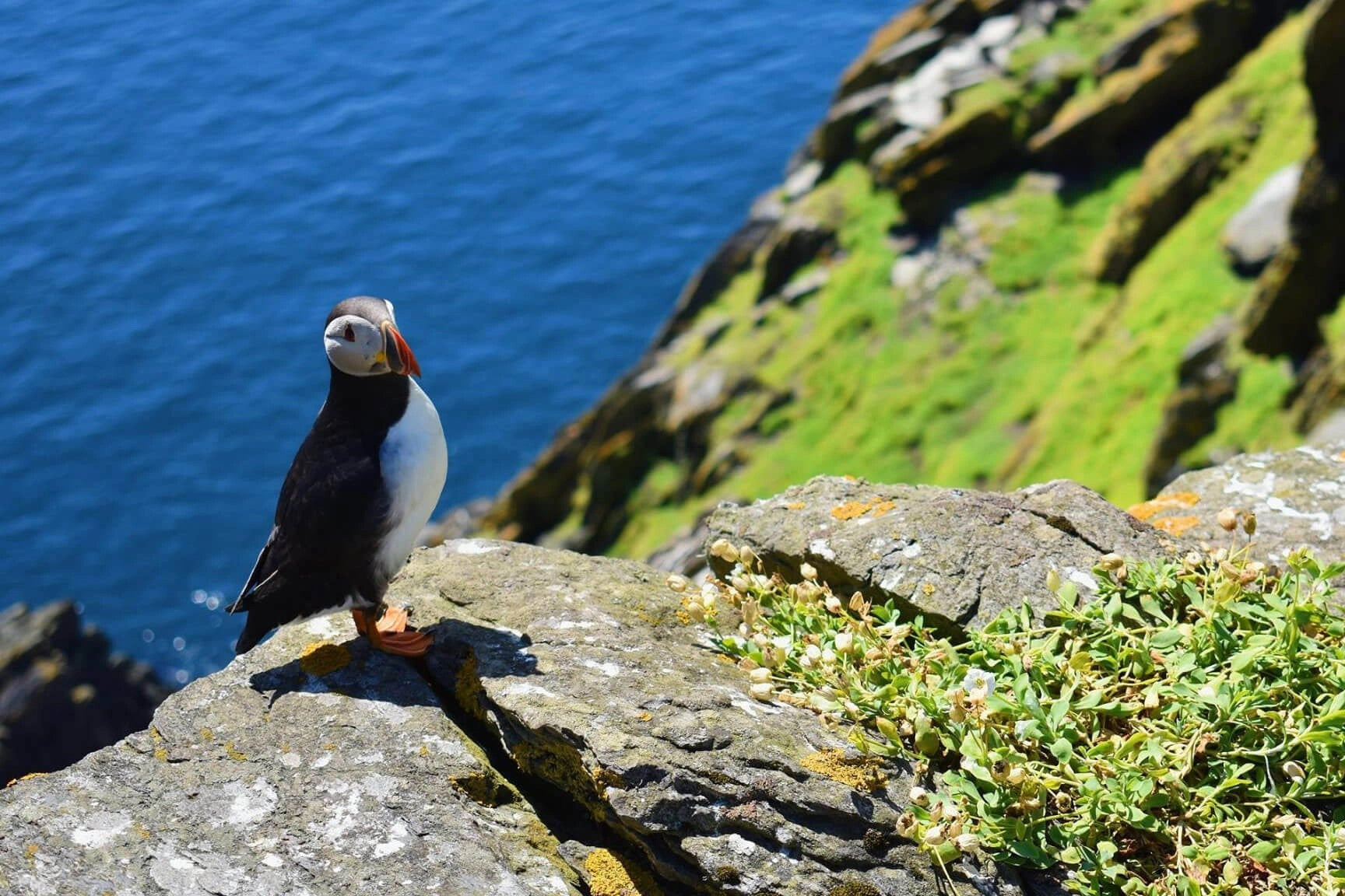 shore cotta valentia island ireland